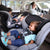 How to choose a car seat for your child