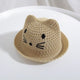 Fedora Cat Hat (Multiple Colors)